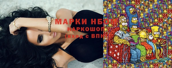 мет Каменка