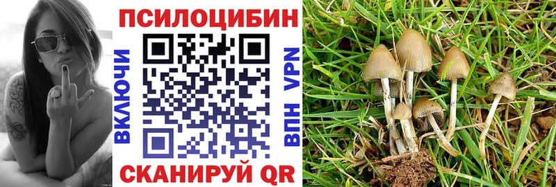продажа наркотиков  Шарыпово  Галлюциногенные грибы Psilocybine cubensis 